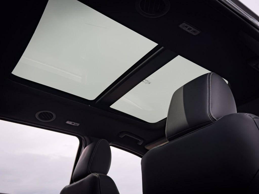 Shelby Everest Interior